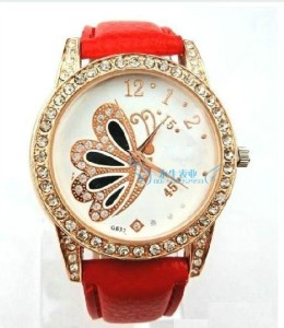 Jewelry Watch for Lady (WY-WA05)